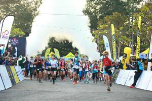 BIB: 
                            <button type="button" onclick="openModal(19567746)" class="btn btn-primary btn-sm float-right btn-popup" data-toggle="modal" data-target=".modal-high-quality">
                        <i class="fas fa-shopping-cart"></i> Add to Cart
                    </button>
                                            <button type="button" onclick="isThisMe(19567746, true)" class="btn btn-success btn-sm float-right btn-popup btn-isme hidden" data-toggle="tooltip" data-placement="bottom" title="นี่คือรูปของคุณใช่ไหม คลิกที่นี่เพื่อเอาเข้าอัลบั้ม">
                        <i class="fas fa-plus"></i> Add to album
                    </button>
                    <button type="button" onclick="isThisMe(19567746, false)" class="btn btn-warning btn-sm float-right btn-popup btn-isnotme hidden">
                        <i class="fas fa-ban"></i> Remove from album
                    </button>