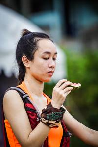 BIB: 
                            <button type="button" onclick="openModal(22219421)" class="btn btn-primary btn-sm float-right btn-popup" data-toggle="modal" data-target=".modal-high-quality">
                        <i class="fas fa-shopping-cart"></i> Add to Cart
                    </button>
                                            <button type="button" onclick="isThisMe(22219421, true)" class="btn btn-success btn-sm float-right btn-popup btn-isme hidden" data-toggle="tooltip" data-placement="bottom" title="นี่คือรูปของคุณใช่ไหม คลิกที่นี่เพื่อเอาเข้าอัลบั้ม">
                        <i class="fas fa-plus"></i> Add to album
                    </button>
                    <button type="button" onclick="isThisMe(22219421, false)" class="btn btn-warning btn-sm float-right btn-popup btn-isnotme hidden">
                        <i class="fas fa-ban"></i> Remove from album
                    </button>