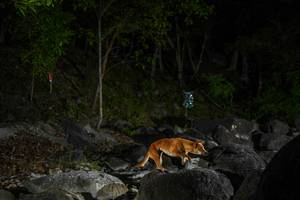 BIB: 
                            <button type="button" onclick="openModal(22133654)" class="btn btn-primary btn-sm float-right btn-popup" data-toggle="modal" data-target=".modal-high-quality">
                        <i class="fas fa-shopping-cart"></i> Add to Cart
                    </button>
                                            <button type="button" onclick="isThisMe(22133654, true)" class="btn btn-success btn-sm float-right btn-popup btn-isme hidden" data-toggle="tooltip" data-placement="bottom" title="นี่คือรูปของคุณใช่ไหม คลิกที่นี่เพื่อเอาเข้าอัลบั้ม">
                        <i class="fas fa-plus"></i> Add to album
                    </button>
                    <button type="button" onclick="isThisMe(22133654, false)" class="btn btn-warning btn-sm float-right btn-popup btn-isnotme hidden">
                        <i class="fas fa-ban"></i> Remove from album
                    </button>