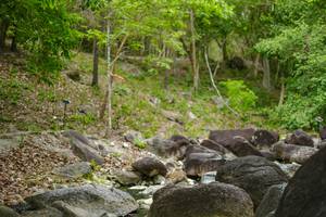 BIB: 
                            <button type="button" onclick="openModal(22136250)" class="btn btn-primary btn-sm float-right btn-popup" data-toggle="modal" data-target=".modal-high-quality">
                        <i class="fas fa-shopping-cart"></i> Add to Cart
                    </button>
                                            <button type="button" onclick="isThisMe(22136250, true)" class="btn btn-success btn-sm float-right btn-popup btn-isme hidden" data-toggle="tooltip" data-placement="bottom" title="นี่คือรูปของคุณใช่ไหม คลิกที่นี่เพื่อเอาเข้าอัลบั้ม">
                        <i class="fas fa-plus"></i> Add to album
                    </button>
                    <button type="button" onclick="isThisMe(22136250, false)" class="btn btn-warning btn-sm float-right btn-popup btn-isnotme hidden">
                        <i class="fas fa-ban"></i> Remove from album
                    </button>