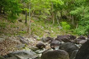 BIB: 
                            <button type="button" onclick="openModal(22136251)" class="btn btn-primary btn-sm float-right btn-popup" data-toggle="modal" data-target=".modal-high-quality">
                        <i class="fas fa-shopping-cart"></i> Add to Cart
                    </button>
                                            <button type="button" onclick="isThisMe(22136251, true)" class="btn btn-success btn-sm float-right btn-popup btn-isme hidden" data-toggle="tooltip" data-placement="bottom" title="นี่คือรูปของคุณใช่ไหม คลิกที่นี่เพื่อเอาเข้าอัลบั้ม">
                        <i class="fas fa-plus"></i> Add to album
                    </button>
                    <button type="button" onclick="isThisMe(22136251, false)" class="btn btn-warning btn-sm float-right btn-popup btn-isnotme hidden">
                        <i class="fas fa-ban"></i> Remove from album
                    </button>