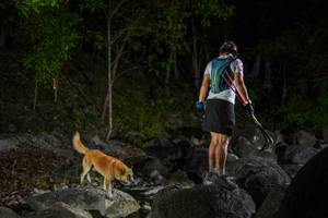 BIB: 
                            <button type="button" onclick="openModal(22133671)" class="btn btn-primary btn-sm float-right btn-popup" data-toggle="modal" data-target=".modal-high-quality">
                        <i class="fas fa-shopping-cart"></i> Add to Cart
                    </button>
                                            <button type="button" onclick="isThisMe(22133671, true)" class="btn btn-success btn-sm float-right btn-popup btn-isme hidden" data-toggle="tooltip" data-placement="bottom" title="นี่คือรูปของคุณใช่ไหม คลิกที่นี่เพื่อเอาเข้าอัลบั้ม">
                        <i class="fas fa-plus"></i> Add to album
                    </button>
                    <button type="button" onclick="isThisMe(22133671, false)" class="btn btn-warning btn-sm float-right btn-popup btn-isnotme hidden">
                        <i class="fas fa-ban"></i> Remove from album
                    </button>