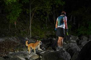 BIB: 
                            <button type="button" onclick="openModal(22133680)" class="btn btn-primary btn-sm float-right btn-popup" data-toggle="modal" data-target=".modal-high-quality">
                        <i class="fas fa-shopping-cart"></i> Add to Cart
                    </button>
                                            <button type="button" onclick="isThisMe(22133680, true)" class="btn btn-success btn-sm float-right btn-popup btn-isme hidden" data-toggle="tooltip" data-placement="bottom" title="นี่คือรูปของคุณใช่ไหม คลิกที่นี่เพื่อเอาเข้าอัลบั้ม">
                        <i class="fas fa-plus"></i> Add to album
                    </button>
                    <button type="button" onclick="isThisMe(22133680, false)" class="btn btn-warning btn-sm float-right btn-popup btn-isnotme hidden">
                        <i class="fas fa-ban"></i> Remove from album
                    </button>