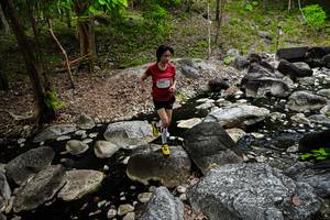 BIB: 
                            <button type="button" onclick="openModal(22179730)" class="btn btn-primary btn-sm float-right btn-popup" data-toggle="modal" data-target=".modal-high-quality">
                        <i class="fas fa-shopping-cart"></i> Add to Cart
                    </button>
                                            <button type="button" onclick="isThisMe(22179730, true)" class="btn btn-success btn-sm float-right btn-popup btn-isme hidden" data-toggle="tooltip" data-placement="bottom" title="นี่คือรูปของคุณใช่ไหม คลิกที่นี่เพื่อเอาเข้าอัลบั้ม">
                        <i class="fas fa-plus"></i> Add to album
                    </button>
                    <button type="button" onclick="isThisMe(22179730, false)" class="btn btn-warning btn-sm float-right btn-popup btn-isnotme hidden">
                        <i class="fas fa-ban"></i> Remove from album
                    </button>