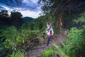 BIB: 
                            <button type="button" onclick="openModal(22137814)" class="btn btn-primary btn-sm float-right btn-popup" data-toggle="modal" data-target=".modal-high-quality">
                        <i class="fas fa-shopping-cart"></i> Add to Cart
                    </button>
                                            <button type="button" onclick="isThisMe(22137814, true)" class="btn btn-success btn-sm float-right btn-popup btn-isme hidden" data-toggle="tooltip" data-placement="bottom" title="นี่คือรูปของคุณใช่ไหม คลิกที่นี่เพื่อเอาเข้าอัลบั้ม">
                        <i class="fas fa-plus"></i> Add to album
                    </button>
                    <button type="button" onclick="isThisMe(22137814, false)" class="btn btn-warning btn-sm float-right btn-popup btn-isnotme hidden">
                        <i class="fas fa-ban"></i> Remove from album
                    </button>