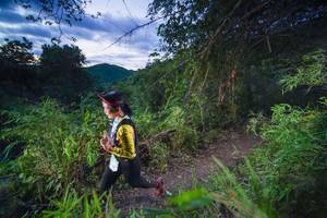 BIB: 
                            <button type="button" onclick="openModal(22137628)" class="btn btn-primary btn-sm float-right btn-popup" data-toggle="modal" data-target=".modal-high-quality">
                        <i class="fas fa-shopping-cart"></i> Add to Cart
                    </button>
                                            <button type="button" onclick="isThisMe(22137628, true)" class="btn btn-success btn-sm float-right btn-popup btn-isme hidden" data-toggle="tooltip" data-placement="bottom" title="นี่คือรูปของคุณใช่ไหม คลิกที่นี่เพื่อเอาเข้าอัลบั้ม">
                        <i class="fas fa-plus"></i> Add to album
                    </button>
                    <button type="button" onclick="isThisMe(22137628, false)" class="btn btn-warning btn-sm float-right btn-popup btn-isnotme hidden">
                        <i class="fas fa-ban"></i> Remove from album
                    </button>