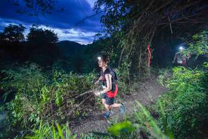 BIB: 
                            <button type="button" onclick="openModal(22137146)" class="btn btn-primary btn-sm float-right btn-popup" data-toggle="modal" data-target=".modal-high-quality">
                        <i class="fas fa-shopping-cart"></i> Add to Cart
                    </button>
                                            <button type="button" onclick="isThisMe(22137146, true)" class="btn btn-success btn-sm float-right btn-popup btn-isme hidden" data-toggle="tooltip" data-placement="bottom" title="นี่คือรูปของคุณใช่ไหม คลิกที่นี่เพื่อเอาเข้าอัลบั้ม">
                        <i class="fas fa-plus"></i> Add to album
                    </button>
                    <button type="button" onclick="isThisMe(22137146, false)" class="btn btn-warning btn-sm float-right btn-popup btn-isnotme hidden">
                        <i class="fas fa-ban"></i> Remove from album
                    </button>