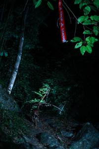 BIB: 
                            <button type="button" onclick="openModal(22207148)" class="btn btn-primary btn-sm float-right btn-popup" data-toggle="modal" data-target=".modal-high-quality">
                        <i class="fas fa-shopping-cart"></i> Add to Cart
                    </button>
                                            <button type="button" onclick="isThisMe(22207148, true)" class="btn btn-success btn-sm float-right btn-popup btn-isme hidden" data-toggle="tooltip" data-placement="bottom" title="นี่คือรูปของคุณใช่ไหม คลิกที่นี่เพื่อเอาเข้าอัลบั้ม">
                        <i class="fas fa-plus"></i> Add to album
                    </button>
                    <button type="button" onclick="isThisMe(22207148, false)" class="btn btn-warning btn-sm float-right btn-popup btn-isnotme hidden">
                        <i class="fas fa-ban"></i> Remove from album
                    </button>