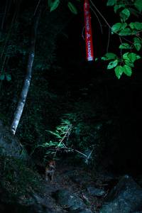 BIB: 
                            <button type="button" onclick="openModal(22207151)" class="btn btn-primary btn-sm float-right btn-popup" data-toggle="modal" data-target=".modal-high-quality">
                        <i class="fas fa-shopping-cart"></i> Add to Cart
                    </button>
                                            <button type="button" onclick="isThisMe(22207151, true)" class="btn btn-success btn-sm float-right btn-popup btn-isme hidden" data-toggle="tooltip" data-placement="bottom" title="นี่คือรูปของคุณใช่ไหม คลิกที่นี่เพื่อเอาเข้าอัลบั้ม">
                        <i class="fas fa-plus"></i> Add to album
                    </button>
                    <button type="button" onclick="isThisMe(22207151, false)" class="btn btn-warning btn-sm float-right btn-popup btn-isnotme hidden">
                        <i class="fas fa-ban"></i> Remove from album
                    </button>