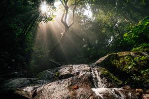 BIB: 
                            <button type="button" onclick="openModal(25212172)" class="btn btn-primary btn-sm float-right btn-popup" data-toggle="modal" data-target=".modal-high-quality">
                        <i class="fas fa-shopping-cart"></i> Add to Cart
                    </button>
                                            <button type="button" onclick="isThisMe(25212172, true)" class="btn btn-success btn-sm float-right btn-popup btn-isme hidden" data-toggle="tooltip" data-placement="bottom" title="นี่คือรูปของคุณใช่ไหม คลิกที่นี่เพื่อเอาเข้าอัลบั้ม">
                        <i class="fas fa-plus"></i> Add to album
                    </button>
                    <button type="button" onclick="isThisMe(25212172, false)" class="btn btn-warning btn-sm float-right btn-popup btn-isnotme hidden">
                        <i class="fas fa-ban"></i> Remove from album
                    </button>