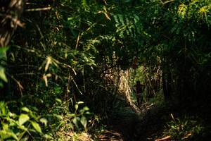 BIB: 
                            <button type="button" onclick="openModal(25212069)" class="btn btn-primary btn-sm float-right btn-popup" data-toggle="modal" data-target=".modal-high-quality">
                        <i class="fas fa-shopping-cart"></i> Add to Cart
                    </button>
                                            <button type="button" onclick="isThisMe(25212069, true)" class="btn btn-success btn-sm float-right btn-popup btn-isme hidden" data-toggle="tooltip" data-placement="bottom" title="นี่คือรูปของคุณใช่ไหม คลิกที่นี่เพื่อเอาเข้าอัลบั้ม">
                        <i class="fas fa-plus"></i> Add to album
                    </button>
                    <button type="button" onclick="isThisMe(25212069, false)" class="btn btn-warning btn-sm float-right btn-popup btn-isnotme hidden">
                        <i class="fas fa-ban"></i> Remove from album
                    </button>