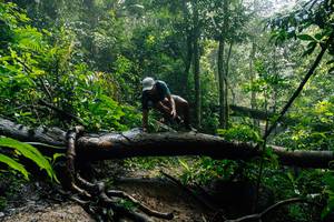 BIB: 
                            <button type="button" onclick="openModal(25212119)" class="btn btn-primary btn-sm float-right btn-popup" data-toggle="modal" data-target=".modal-high-quality">
                        <i class="fas fa-shopping-cart"></i> Add to Cart
                    </button>
                                            <button type="button" onclick="isThisMe(25212119, true)" class="btn btn-success btn-sm float-right btn-popup btn-isme hidden" data-toggle="tooltip" data-placement="bottom" title="นี่คือรูปของคุณใช่ไหม คลิกที่นี่เพื่อเอาเข้าอัลบั้ม">
                        <i class="fas fa-plus"></i> Add to album
                    </button>
                    <button type="button" onclick="isThisMe(25212119, false)" class="btn btn-warning btn-sm float-right btn-popup btn-isnotme hidden">
                        <i class="fas fa-ban"></i> Remove from album
                    </button>