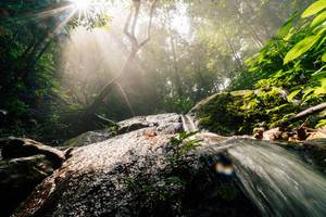 BIB: 
                            <button type="button" onclick="openModal(25212168)" class="btn btn-primary btn-sm float-right btn-popup" data-toggle="modal" data-target=".modal-high-quality">
                        <i class="fas fa-shopping-cart"></i> Add to Cart
                    </button>
                                            <button type="button" onclick="isThisMe(25212168, true)" class="btn btn-success btn-sm float-right btn-popup btn-isme hidden" data-toggle="tooltip" data-placement="bottom" title="นี่คือรูปของคุณใช่ไหม คลิกที่นี่เพื่อเอาเข้าอัลบั้ม">
                        <i class="fas fa-plus"></i> Add to album
                    </button>
                    <button type="button" onclick="isThisMe(25212168, false)" class="btn btn-warning btn-sm float-right btn-popup btn-isnotme hidden">
                        <i class="fas fa-ban"></i> Remove from album
                    </button>