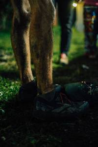 BIB: 
                            <button type="button" onclick="openModal(25211806)" class="btn btn-primary btn-sm float-right btn-popup" data-toggle="modal" data-target=".modal-high-quality">
                        <i class="fas fa-shopping-cart"></i> Add to Cart
                    </button>
                                            <button type="button" onclick="isThisMe(25211806, true)" class="btn btn-success btn-sm float-right btn-popup btn-isme hidden" data-toggle="tooltip" data-placement="bottom" title="นี่คือรูปของคุณใช่ไหม คลิกที่นี่เพื่อเอาเข้าอัลบั้ม">
                        <i class="fas fa-plus"></i> Add to album
                    </button>
                    <button type="button" onclick="isThisMe(25211806, false)" class="btn btn-warning btn-sm float-right btn-popup btn-isnotme hidden">
                        <i class="fas fa-ban"></i> Remove from album
                    </button>