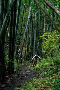 BIB: 
                            <button type="button" onclick="openModal(25211953)" class="btn btn-primary btn-sm float-right btn-popup" data-toggle="modal" data-target=".modal-high-quality">
                        <i class="fas fa-shopping-cart"></i> Add to Cart
                    </button>
                                            <button type="button" onclick="isThisMe(25211953, true)" class="btn btn-success btn-sm float-right btn-popup btn-isme hidden" data-toggle="tooltip" data-placement="bottom" title="นี่คือรูปของคุณใช่ไหม คลิกที่นี่เพื่อเอาเข้าอัลบั้ม">
                        <i class="fas fa-plus"></i> Add to album
                    </button>
                    <button type="button" onclick="isThisMe(25211953, false)" class="btn btn-warning btn-sm float-right btn-popup btn-isnotme hidden">
                        <i class="fas fa-ban"></i> Remove from album
                    </button>