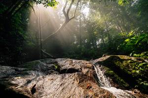 BIB: 
                            <button type="button" onclick="openModal(25212171)" class="btn btn-primary btn-sm float-right btn-popup" data-toggle="modal" data-target=".modal-high-quality">
                        <i class="fas fa-shopping-cart"></i> Add to Cart
                    </button>
                                            <button type="button" onclick="isThisMe(25212171, true)" class="btn btn-success btn-sm float-right btn-popup btn-isme hidden" data-toggle="tooltip" data-placement="bottom" title="นี่คือรูปของคุณใช่ไหม คลิกที่นี่เพื่อเอาเข้าอัลบั้ม">
                        <i class="fas fa-plus"></i> Add to album
                    </button>
                    <button type="button" onclick="isThisMe(25212171, false)" class="btn btn-warning btn-sm float-right btn-popup btn-isnotme hidden">
                        <i class="fas fa-ban"></i> Remove from album
                    </button>