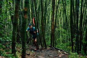 BIB: 
                            <button type="button" onclick="openModal(25211982)" class="btn btn-primary btn-sm float-right btn-popup" data-toggle="modal" data-target=".modal-high-quality">
                        <i class="fas fa-shopping-cart"></i> Add to Cart
                    </button>
                                            <button type="button" onclick="isThisMe(25211982, true)" class="btn btn-success btn-sm float-right btn-popup btn-isme hidden" data-toggle="tooltip" data-placement="bottom" title="นี่คือรูปของคุณใช่ไหม คลิกที่นี่เพื่อเอาเข้าอัลบั้ม">
                        <i class="fas fa-plus"></i> Add to album
                    </button>
                    <button type="button" onclick="isThisMe(25211982, false)" class="btn btn-warning btn-sm float-right btn-popup btn-isnotme hidden">
                        <i class="fas fa-ban"></i> Remove from album
                    </button>