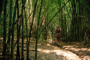 BIB: 
                            <button type="button" onclick="openModal(25212056)" class="btn btn-primary btn-sm float-right btn-popup" data-toggle="modal" data-target=".modal-high-quality">
                        <i class="fas fa-shopping-cart"></i> Add to Cart
                    </button>
                                            <button type="button" onclick="isThisMe(25212056, true)" class="btn btn-success btn-sm float-right btn-popup btn-isme hidden" data-toggle="tooltip" data-placement="bottom" title="นี่คือรูปของคุณใช่ไหม คลิกที่นี่เพื่อเอาเข้าอัลบั้ม">
                        <i class="fas fa-plus"></i> Add to album
                    </button>
                    <button type="button" onclick="isThisMe(25212056, false)" class="btn btn-warning btn-sm float-right btn-popup btn-isnotme hidden">
                        <i class="fas fa-ban"></i> Remove from album
                    </button>