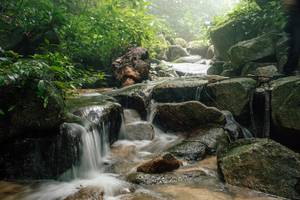 BIB: 
                            <button type="button" onclick="openModal(25212230)" class="btn btn-primary btn-sm float-right btn-popup" data-toggle="modal" data-target=".modal-high-quality">
                        <i class="fas fa-shopping-cart"></i> Add to Cart
                    </button>
                                            <button type="button" onclick="isThisMe(25212230, true)" class="btn btn-success btn-sm float-right btn-popup btn-isme hidden" data-toggle="tooltip" data-placement="bottom" title="นี่คือรูปของคุณใช่ไหม คลิกที่นี่เพื่อเอาเข้าอัลบั้ม">
                        <i class="fas fa-plus"></i> Add to album
                    </button>
                    <button type="button" onclick="isThisMe(25212230, false)" class="btn btn-warning btn-sm float-right btn-popup btn-isnotme hidden">
                        <i class="fas fa-ban"></i> Remove from album
                    </button>