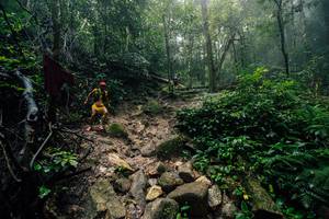 BIB: 
                            <button type="button" onclick="openModal(25212198)" class="btn btn-primary btn-sm float-right btn-popup" data-toggle="modal" data-target=".modal-high-quality">
                        <i class="fas fa-shopping-cart"></i> Add to Cart
                    </button>
                                            <button type="button" onclick="isThisMe(25212198, true)" class="btn btn-success btn-sm float-right btn-popup btn-isme hidden" data-toggle="tooltip" data-placement="bottom" title="นี่คือรูปของคุณใช่ไหม คลิกที่นี่เพื่อเอาเข้าอัลบั้ม">
                        <i class="fas fa-plus"></i> Add to album
                    </button>
                    <button type="button" onclick="isThisMe(25212198, false)" class="btn btn-warning btn-sm float-right btn-popup btn-isnotme hidden">
                        <i class="fas fa-ban"></i> Remove from album
                    </button>