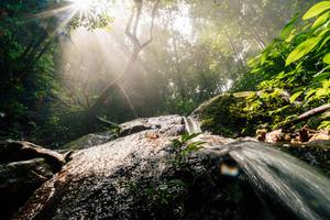 BIB: 
                            <button type="button" onclick="openModal(25212169)" class="btn btn-primary btn-sm float-right btn-popup" data-toggle="modal" data-target=".modal-high-quality">
                        <i class="fas fa-shopping-cart"></i> Add to Cart
                    </button>
                                            <button type="button" onclick="isThisMe(25212169, true)" class="btn btn-success btn-sm float-right btn-popup btn-isme hidden" data-toggle="tooltip" data-placement="bottom" title="นี่คือรูปของคุณใช่ไหม คลิกที่นี่เพื่อเอาเข้าอัลบั้ม">
                        <i class="fas fa-plus"></i> Add to album
                    </button>
                    <button type="button" onclick="isThisMe(25212169, false)" class="btn btn-warning btn-sm float-right btn-popup btn-isnotme hidden">
                        <i class="fas fa-ban"></i> Remove from album
                    </button>