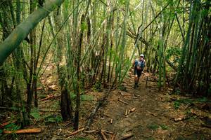 BIB: 
                            <button type="button" onclick="openModal(25212059)" class="btn btn-primary btn-sm float-right btn-popup" data-toggle="modal" data-target=".modal-high-quality">
                        <i class="fas fa-shopping-cart"></i> Add to Cart
                    </button>
                                            <button type="button" onclick="isThisMe(25212059, true)" class="btn btn-success btn-sm float-right btn-popup btn-isme hidden" data-toggle="tooltip" data-placement="bottom" title="นี่คือรูปของคุณใช่ไหม คลิกที่นี่เพื่อเอาเข้าอัลบั้ม">
                        <i class="fas fa-plus"></i> Add to album
                    </button>
                    <button type="button" onclick="isThisMe(25212059, false)" class="btn btn-warning btn-sm float-right btn-popup btn-isnotme hidden">
                        <i class="fas fa-ban"></i> Remove from album
                    </button>