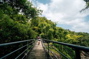 BIB: 
                            <button type="button" onclick="openModal(25211566)" class="btn btn-primary btn-sm float-right btn-popup" data-toggle="modal" data-target=".modal-high-quality">
                        <i class="fas fa-shopping-cart"></i> Add to Cart
                    </button>
                                            <button type="button" onclick="isThisMe(25211566, true)" class="btn btn-success btn-sm float-right btn-popup btn-isme hidden" data-toggle="tooltip" data-placement="bottom" title="นี่คือรูปของคุณใช่ไหม คลิกที่นี่เพื่อเอาเข้าอัลบั้ม">
                        <i class="fas fa-plus"></i> Add to album
                    </button>
                    <button type="button" onclick="isThisMe(25211566, false)" class="btn btn-warning btn-sm float-right btn-popup btn-isnotme hidden">
                        <i class="fas fa-ban"></i> Remove from album
                    </button>