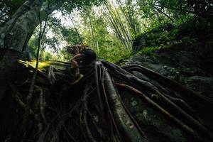 BIB: 
                            <button type="button" onclick="openModal(25211919)" class="btn btn-primary btn-sm float-right btn-popup" data-toggle="modal" data-target=".modal-high-quality">
                        <i class="fas fa-shopping-cart"></i> Add to Cart
                    </button>
                                            <button type="button" onclick="isThisMe(25211919, true)" class="btn btn-success btn-sm float-right btn-popup btn-isme hidden" data-toggle="tooltip" data-placement="bottom" title="นี่คือรูปของคุณใช่ไหม คลิกที่นี่เพื่อเอาเข้าอัลบั้ม">
                        <i class="fas fa-plus"></i> Add to album
                    </button>
                    <button type="button" onclick="isThisMe(25211919, false)" class="btn btn-warning btn-sm float-right btn-popup btn-isnotme hidden">
                        <i class="fas fa-ban"></i> Remove from album
                    </button>