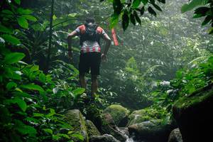 BIB: 
                            <button type="button" onclick="openModal(25212216)" class="btn btn-primary btn-sm float-right btn-popup" data-toggle="modal" data-target=".modal-high-quality">
                        <i class="fas fa-shopping-cart"></i> Add to Cart
                    </button>
                                            <button type="button" onclick="isThisMe(25212216, true)" class="btn btn-success btn-sm float-right btn-popup btn-isme hidden" data-toggle="tooltip" data-placement="bottom" title="นี่คือรูปของคุณใช่ไหม คลิกที่นี่เพื่อเอาเข้าอัลบั้ม">
                        <i class="fas fa-plus"></i> Add to album
                    </button>
                    <button type="button" onclick="isThisMe(25212216, false)" class="btn btn-warning btn-sm float-right btn-popup btn-isnotme hidden">
                        <i class="fas fa-ban"></i> Remove from album
                    </button>