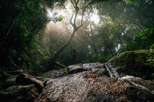 BIB: 
                            <button type="button" onclick="openModal(25212162)" class="btn btn-primary btn-sm float-right btn-popup" data-toggle="modal" data-target=".modal-high-quality">
                        <i class="fas fa-shopping-cart"></i> Add to Cart
                    </button>
                                            <button type="button" onclick="isThisMe(25212162, true)" class="btn btn-success btn-sm float-right btn-popup btn-isme hidden" data-toggle="tooltip" data-placement="bottom" title="นี่คือรูปของคุณใช่ไหม คลิกที่นี่เพื่อเอาเข้าอัลบั้ม">
                        <i class="fas fa-plus"></i> Add to album
                    </button>
                    <button type="button" onclick="isThisMe(25212162, false)" class="btn btn-warning btn-sm float-right btn-popup btn-isnotme hidden">
                        <i class="fas fa-ban"></i> Remove from album
                    </button>