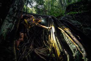 BIB: 
                            <button type="button" onclick="openModal(25211910)" class="btn btn-primary btn-sm float-right btn-popup" data-toggle="modal" data-target=".modal-high-quality">
                        <i class="fas fa-shopping-cart"></i> Add to Cart
                    </button>
                                            <button type="button" onclick="isThisMe(25211910, true)" class="btn btn-success btn-sm float-right btn-popup btn-isme hidden" data-toggle="tooltip" data-placement="bottom" title="นี่คือรูปของคุณใช่ไหม คลิกที่นี่เพื่อเอาเข้าอัลบั้ม">
                        <i class="fas fa-plus"></i> Add to album
                    </button>
                    <button type="button" onclick="isThisMe(25211910, false)" class="btn btn-warning btn-sm float-right btn-popup btn-isnotme hidden">
                        <i class="fas fa-ban"></i> Remove from album
                    </button>