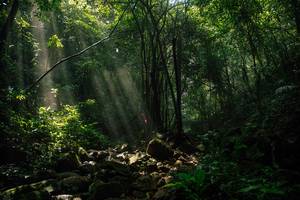 BIB: 
                            <button type="button" onclick="openModal(25212144)" class="btn btn-primary btn-sm float-right btn-popup" data-toggle="modal" data-target=".modal-high-quality">
                        <i class="fas fa-shopping-cart"></i> Add to Cart
                    </button>
                                            <button type="button" onclick="isThisMe(25212144, true)" class="btn btn-success btn-sm float-right btn-popup btn-isme hidden" data-toggle="tooltip" data-placement="bottom" title="นี่คือรูปของคุณใช่ไหม คลิกที่นี่เพื่อเอาเข้าอัลบั้ม">
                        <i class="fas fa-plus"></i> Add to album
                    </button>
                    <button type="button" onclick="isThisMe(25212144, false)" class="btn btn-warning btn-sm float-right btn-popup btn-isnotme hidden">
                        <i class="fas fa-ban"></i> Remove from album
                    </button>