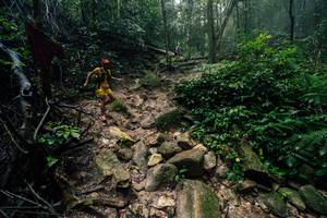 BIB: 
                            <button type="button" onclick="openModal(25212201)" class="btn btn-primary btn-sm float-right btn-popup" data-toggle="modal" data-target=".modal-high-quality">
                        <i class="fas fa-shopping-cart"></i> Add to Cart
                    </button>
                                            <button type="button" onclick="isThisMe(25212201, true)" class="btn btn-success btn-sm float-right btn-popup btn-isme hidden" data-toggle="tooltip" data-placement="bottom" title="นี่คือรูปของคุณใช่ไหม คลิกที่นี่เพื่อเอาเข้าอัลบั้ม">
                        <i class="fas fa-plus"></i> Add to album
                    </button>
                    <button type="button" onclick="isThisMe(25212201, false)" class="btn btn-warning btn-sm float-right btn-popup btn-isnotme hidden">
                        <i class="fas fa-ban"></i> Remove from album
                    </button>