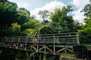 BIB: 
                            <button type="button" onclick="openModal(25211565)" class="btn btn-primary btn-sm float-right btn-popup" data-toggle="modal" data-target=".modal-high-quality">
                        <i class="fas fa-shopping-cart"></i> Add to Cart
                    </button>
                                            <button type="button" onclick="isThisMe(25211565, true)" class="btn btn-success btn-sm float-right btn-popup btn-isme hidden" data-toggle="tooltip" data-placement="bottom" title="นี่คือรูปของคุณใช่ไหม คลิกที่นี่เพื่อเอาเข้าอัลบั้ม">
                        <i class="fas fa-plus"></i> Add to album
                    </button>
                    <button type="button" onclick="isThisMe(25211565, false)" class="btn btn-warning btn-sm float-right btn-popup btn-isnotme hidden">
                        <i class="fas fa-ban"></i> Remove from album
                    </button>