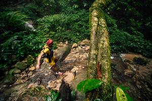 BIB: 
                            <button type="button" onclick="openModal(25212197)" class="btn btn-primary btn-sm float-right btn-popup" data-toggle="modal" data-target=".modal-high-quality">
                        <i class="fas fa-shopping-cart"></i> Add to Cart
                    </button>
                                            <button type="button" onclick="isThisMe(25212197, true)" class="btn btn-success btn-sm float-right btn-popup btn-isme hidden" data-toggle="tooltip" data-placement="bottom" title="นี่คือรูปของคุณใช่ไหม คลิกที่นี่เพื่อเอาเข้าอัลบั้ม">
                        <i class="fas fa-plus"></i> Add to album
                    </button>
                    <button type="button" onclick="isThisMe(25212197, false)" class="btn btn-warning btn-sm float-right btn-popup btn-isnotme hidden">
                        <i class="fas fa-ban"></i> Remove from album
                    </button>