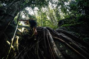 BIB: 
                            <button type="button" onclick="openModal(25211914)" class="btn btn-primary btn-sm float-right btn-popup" data-toggle="modal" data-target=".modal-high-quality">
                        <i class="fas fa-shopping-cart"></i> Add to Cart
                    </button>
                                            <button type="button" onclick="isThisMe(25211914, true)" class="btn btn-success btn-sm float-right btn-popup btn-isme hidden" data-toggle="tooltip" data-placement="bottom" title="นี่คือรูปของคุณใช่ไหม คลิกที่นี่เพื่อเอาเข้าอัลบั้ม">
                        <i class="fas fa-plus"></i> Add to album
                    </button>
                    <button type="button" onclick="isThisMe(25211914, false)" class="btn btn-warning btn-sm float-right btn-popup btn-isnotme hidden">
                        <i class="fas fa-ban"></i> Remove from album
                    </button>