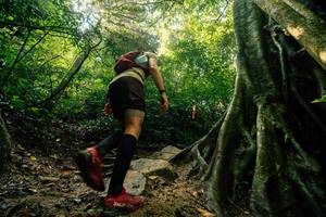 BIB: 
                            <button type="button" onclick="openModal(25212118)" class="btn btn-primary btn-sm float-right btn-popup" data-toggle="modal" data-target=".modal-high-quality">
                        <i class="fas fa-shopping-cart"></i> Add to Cart
                    </button>
                                            <button type="button" onclick="isThisMe(25212118, true)" class="btn btn-success btn-sm float-right btn-popup btn-isme hidden" data-toggle="tooltip" data-placement="bottom" title="นี่คือรูปของคุณใช่ไหม คลิกที่นี่เพื่อเอาเข้าอัลบั้ม">
                        <i class="fas fa-plus"></i> Add to album
                    </button>
                    <button type="button" onclick="isThisMe(25212118, false)" class="btn btn-warning btn-sm float-right btn-popup btn-isnotme hidden">
                        <i class="fas fa-ban"></i> Remove from album
                    </button>