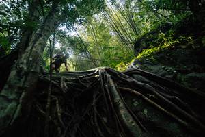 BIB: 
                            <button type="button" onclick="openModal(25211926)" class="btn btn-primary btn-sm float-right btn-popup" data-toggle="modal" data-target=".modal-high-quality">
                        <i class="fas fa-shopping-cart"></i> Add to Cart
                    </button>
                                            <button type="button" onclick="isThisMe(25211926, true)" class="btn btn-success btn-sm float-right btn-popup btn-isme hidden" data-toggle="tooltip" data-placement="bottom" title="นี่คือรูปของคุณใช่ไหม คลิกที่นี่เพื่อเอาเข้าอัลบั้ม">
                        <i class="fas fa-plus"></i> Add to album
                    </button>
                    <button type="button" onclick="isThisMe(25211926, false)" class="btn btn-warning btn-sm float-right btn-popup btn-isnotme hidden">
                        <i class="fas fa-ban"></i> Remove from album
                    </button>