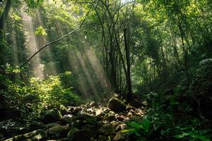 BIB: 
                            <button type="button" onclick="openModal(25212145)" class="btn btn-primary btn-sm float-right btn-popup" data-toggle="modal" data-target=".modal-high-quality">
                        <i class="fas fa-shopping-cart"></i> Add to Cart
                    </button>
                                            <button type="button" onclick="isThisMe(25212145, true)" class="btn btn-success btn-sm float-right btn-popup btn-isme hidden" data-toggle="tooltip" data-placement="bottom" title="นี่คือรูปของคุณใช่ไหม คลิกที่นี่เพื่อเอาเข้าอัลบั้ม">
                        <i class="fas fa-plus"></i> Add to album
                    </button>
                    <button type="button" onclick="isThisMe(25212145, false)" class="btn btn-warning btn-sm float-right btn-popup btn-isnotme hidden">
                        <i class="fas fa-ban"></i> Remove from album
                    </button>