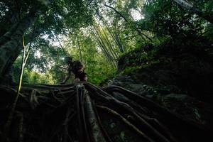 BIB: 
                            <button type="button" onclick="openModal(25211927)" class="btn btn-primary btn-sm float-right btn-popup" data-toggle="modal" data-target=".modal-high-quality">
                        <i class="fas fa-shopping-cart"></i> Add to Cart
                    </button>
                                            <button type="button" onclick="isThisMe(25211927, true)" class="btn btn-success btn-sm float-right btn-popup btn-isme hidden" data-toggle="tooltip" data-placement="bottom" title="นี่คือรูปของคุณใช่ไหม คลิกที่นี่เพื่อเอาเข้าอัลบั้ม">
                        <i class="fas fa-plus"></i> Add to album
                    </button>
                    <button type="button" onclick="isThisMe(25211927, false)" class="btn btn-warning btn-sm float-right btn-popup btn-isnotme hidden">
                        <i class="fas fa-ban"></i> Remove from album
                    </button>