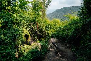 BIB: 
                            <button type="button" onclick="openModal(25212071)" class="btn btn-primary btn-sm float-right btn-popup" data-toggle="modal" data-target=".modal-high-quality">
                        <i class="fas fa-shopping-cart"></i> Add to Cart
                    </button>
                                            <button type="button" onclick="isThisMe(25212071, true)" class="btn btn-success btn-sm float-right btn-popup btn-isme hidden" data-toggle="tooltip" data-placement="bottom" title="นี่คือรูปของคุณใช่ไหม คลิกที่นี่เพื่อเอาเข้าอัลบั้ม">
                        <i class="fas fa-plus"></i> Add to album
                    </button>
                    <button type="button" onclick="isThisMe(25212071, false)" class="btn btn-warning btn-sm float-right btn-popup btn-isnotme hidden">
                        <i class="fas fa-ban"></i> Remove from album
                    </button>