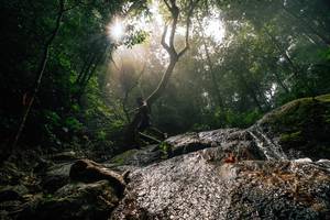 BIB: 
                            <button type="button" onclick="openModal(25212161)" class="btn btn-primary btn-sm float-right btn-popup" data-toggle="modal" data-target=".modal-high-quality">
                        <i class="fas fa-shopping-cart"></i> Add to Cart
                    </button>
                                            <button type="button" onclick="isThisMe(25212161, true)" class="btn btn-success btn-sm float-right btn-popup btn-isme hidden" data-toggle="tooltip" data-placement="bottom" title="นี่คือรูปของคุณใช่ไหม คลิกที่นี่เพื่อเอาเข้าอัลบั้ม">
                        <i class="fas fa-plus"></i> Add to album
                    </button>
                    <button type="button" onclick="isThisMe(25212161, false)" class="btn btn-warning btn-sm float-right btn-popup btn-isnotme hidden">
                        <i class="fas fa-ban"></i> Remove from album
                    </button>