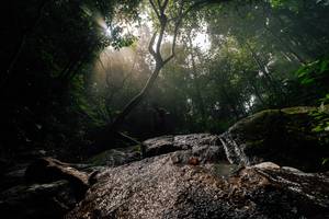 BIB: 
                            <button type="button" onclick="openModal(25212166)" class="btn btn-primary btn-sm float-right btn-popup" data-toggle="modal" data-target=".modal-high-quality">
                        <i class="fas fa-shopping-cart"></i> Add to Cart
                    </button>
                                            <button type="button" onclick="isThisMe(25212166, true)" class="btn btn-success btn-sm float-right btn-popup btn-isme hidden" data-toggle="tooltip" data-placement="bottom" title="นี่คือรูปของคุณใช่ไหม คลิกที่นี่เพื่อเอาเข้าอัลบั้ม">
                        <i class="fas fa-plus"></i> Add to album
                    </button>
                    <button type="button" onclick="isThisMe(25212166, false)" class="btn btn-warning btn-sm float-right btn-popup btn-isnotme hidden">
                        <i class="fas fa-ban"></i> Remove from album
                    </button>