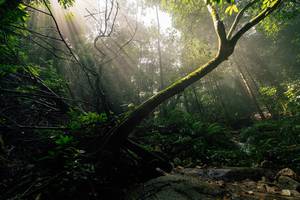 BIB: 
                            <button type="button" onclick="openModal(25212175)" class="btn btn-primary btn-sm float-right btn-popup" data-toggle="modal" data-target=".modal-high-quality">
                        <i class="fas fa-shopping-cart"></i> Add to Cart
                    </button>
                                            <button type="button" onclick="isThisMe(25212175, true)" class="btn btn-success btn-sm float-right btn-popup btn-isme hidden" data-toggle="tooltip" data-placement="bottom" title="นี่คือรูปของคุณใช่ไหม คลิกที่นี่เพื่อเอาเข้าอัลบั้ม">
                        <i class="fas fa-plus"></i> Add to album
                    </button>
                    <button type="button" onclick="isThisMe(25212175, false)" class="btn btn-warning btn-sm float-right btn-popup btn-isnotme hidden">
                        <i class="fas fa-ban"></i> Remove from album
                    </button>