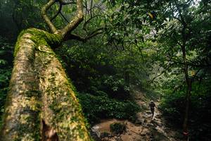 BIB: 
                            <button type="button" onclick="openModal(25212207)" class="btn btn-primary btn-sm float-right btn-popup" data-toggle="modal" data-target=".modal-high-quality">
                        <i class="fas fa-shopping-cart"></i> Add to Cart
                    </button>
                                            <button type="button" onclick="isThisMe(25212207, true)" class="btn btn-success btn-sm float-right btn-popup btn-isme hidden" data-toggle="tooltip" data-placement="bottom" title="นี่คือรูปของคุณใช่ไหม คลิกที่นี่เพื่อเอาเข้าอัลบั้ม">
                        <i class="fas fa-plus"></i> Add to album
                    </button>
                    <button type="button" onclick="isThisMe(25212207, false)" class="btn btn-warning btn-sm float-right btn-popup btn-isnotme hidden">
                        <i class="fas fa-ban"></i> Remove from album
                    </button>