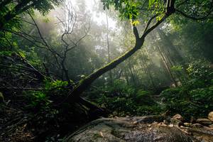 BIB: 
                            <button type="button" onclick="openModal(25212177)" class="btn btn-primary btn-sm float-right btn-popup" data-toggle="modal" data-target=".modal-high-quality">
                        <i class="fas fa-shopping-cart"></i> Add to Cart
                    </button>
                                            <button type="button" onclick="isThisMe(25212177, true)" class="btn btn-success btn-sm float-right btn-popup btn-isme hidden" data-toggle="tooltip" data-placement="bottom" title="นี่คือรูปของคุณใช่ไหม คลิกที่นี่เพื่อเอาเข้าอัลบั้ม">
                        <i class="fas fa-plus"></i> Add to album
                    </button>
                    <button type="button" onclick="isThisMe(25212177, false)" class="btn btn-warning btn-sm float-right btn-popup btn-isnotme hidden">
                        <i class="fas fa-ban"></i> Remove from album
                    </button>