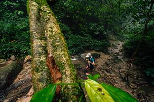 BIB: 
                            <button type="button" onclick="openModal(25212205)" class="btn btn-primary btn-sm float-right btn-popup" data-toggle="modal" data-target=".modal-high-quality">
                        <i class="fas fa-shopping-cart"></i> Add to Cart
                    </button>
                                            <button type="button" onclick="isThisMe(25212205, true)" class="btn btn-success btn-sm float-right btn-popup btn-isme hidden" data-toggle="tooltip" data-placement="bottom" title="นี่คือรูปของคุณใช่ไหม คลิกที่นี่เพื่อเอาเข้าอัลบั้ม">
                        <i class="fas fa-plus"></i> Add to album
                    </button>
                    <button type="button" onclick="isThisMe(25212205, false)" class="btn btn-warning btn-sm float-right btn-popup btn-isnotme hidden">
                        <i class="fas fa-ban"></i> Remove from album
                    </button>