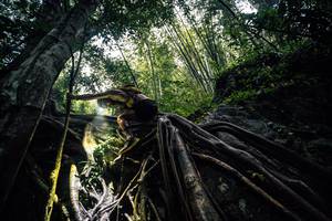 BIB: 
                            <button type="button" onclick="openModal(25211922)" class="btn btn-primary btn-sm float-right btn-popup" data-toggle="modal" data-target=".modal-high-quality">
                        <i class="fas fa-shopping-cart"></i> Add to Cart
                    </button>
                                            <button type="button" onclick="isThisMe(25211922, true)" class="btn btn-success btn-sm float-right btn-popup btn-isme hidden" data-toggle="tooltip" data-placement="bottom" title="นี่คือรูปของคุณใช่ไหม คลิกที่นี่เพื่อเอาเข้าอัลบั้ม">
                        <i class="fas fa-plus"></i> Add to album
                    </button>
                    <button type="button" onclick="isThisMe(25211922, false)" class="btn btn-warning btn-sm float-right btn-popup btn-isnotme hidden">
                        <i class="fas fa-ban"></i> Remove from album
                    </button>