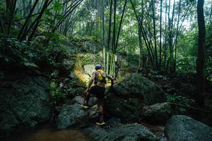 BIB: 
                            <button type="button" onclick="openModal(25211890)" class="btn btn-primary btn-sm float-right btn-popup" data-toggle="modal" data-target=".modal-high-quality">
                        <i class="fas fa-shopping-cart"></i> Add to Cart
                    </button>
                                            <button type="button" onclick="isThisMe(25211890, true)" class="btn btn-success btn-sm float-right btn-popup btn-isme hidden" data-toggle="tooltip" data-placement="bottom" title="นี่คือรูปของคุณใช่ไหม คลิกที่นี่เพื่อเอาเข้าอัลบั้ม">
                        <i class="fas fa-plus"></i> Add to album
                    </button>
                    <button type="button" onclick="isThisMe(25211890, false)" class="btn btn-warning btn-sm float-right btn-popup btn-isnotme hidden">
                        <i class="fas fa-ban"></i> Remove from album
                    </button>