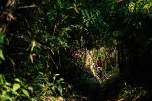 BIB: 
                            <button type="button" onclick="openModal(25212067)" class="btn btn-primary btn-sm float-right btn-popup" data-toggle="modal" data-target=".modal-high-quality">
                        <i class="fas fa-shopping-cart"></i> Add to Cart
                    </button>
                                            <button type="button" onclick="isThisMe(25212067, true)" class="btn btn-success btn-sm float-right btn-popup btn-isme hidden" data-toggle="tooltip" data-placement="bottom" title="นี่คือรูปของคุณใช่ไหม คลิกที่นี่เพื่อเอาเข้าอัลบั้ม">
                        <i class="fas fa-plus"></i> Add to album
                    </button>
                    <button type="button" onclick="isThisMe(25212067, false)" class="btn btn-warning btn-sm float-right btn-popup btn-isnotme hidden">
                        <i class="fas fa-ban"></i> Remove from album
                    </button>